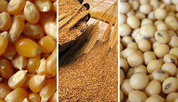Commodities se deslizan hacia atrás en CBOT