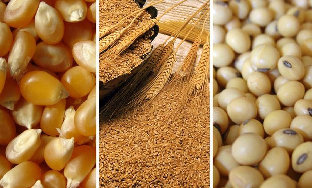 Los futuros de soja y de los cereales se ven presionados en la apertura de semana en Chicago.