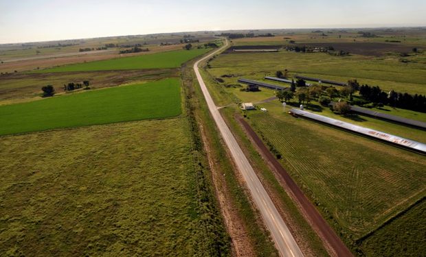 Grave escenario para la agricultura en Pergamino: la amenaza de las medidas judiciales injustificadas