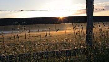 Las heladas retroceden y la temperatura irá en aumento