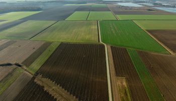 São Paulo lança aplicativo para gestão do Cadastro Ambiental Rural pelo celular