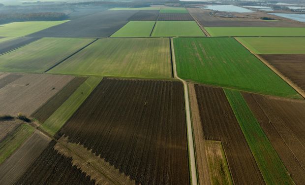 São Paulo lança aplicativo para gestão do Cadastro Ambiental Rural pelo celular