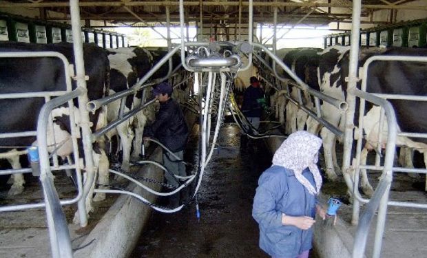 "Nuestras métricas nos muestran que vacas que daban cuatro litros de leche por día, ahora dan doce", Eddie Rodríguez .