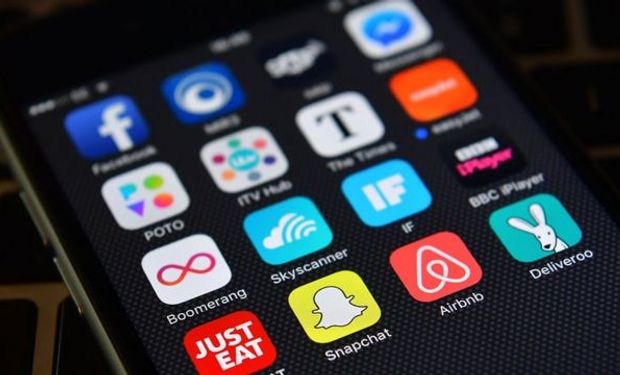 De olho no boi: app Farmbov é lançado com inovação para pecuária de corte