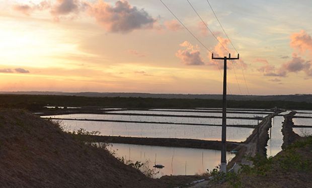 Próximo passo é automatizar esse mapeamento da aquicultura e ampliá-lo para todo o País.