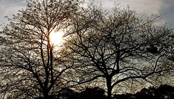 Semana começa com forte contraste climático pelo Brasil