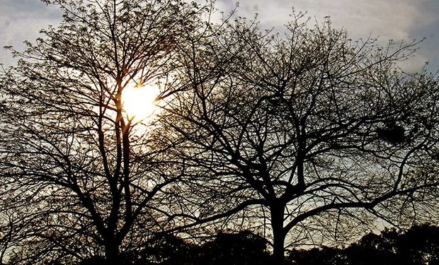 Nova frente fria avança pelo Sul; Centro-Oeste e Sudeste enfrentam baixa umidade