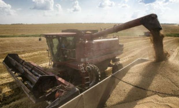 Sube Ucrania un 23% existencia de cereales