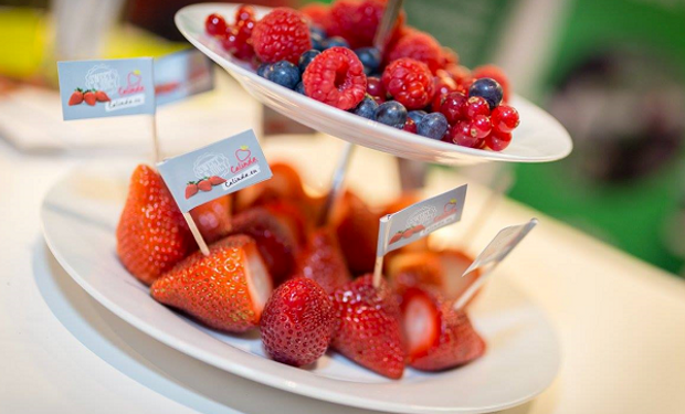 Presentación de los frutos en Global Berry Congress 2017 en Rotterdam.