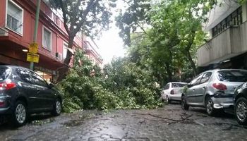 Tras el calor, un temporal azotó Buenos Aires y causo daños