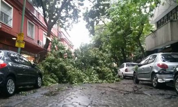 Tras el calor, un temporal azotó Buenos Aires y causo daños