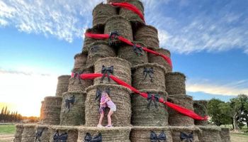 El árbol navideño de fardo que recorre el mundo: un productor decidió cambiar la imagen de su pueblo