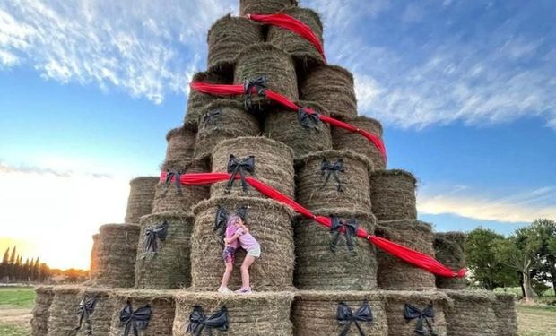 El árbol navideño de fardo que recorre el mundo: un productor decidió cambiar la imagen de su pueblo