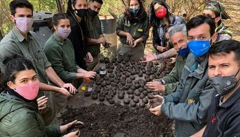Córdoba: buscan armar 10 mil “bombas de semillas” para reforestar las sierras tras los incendios