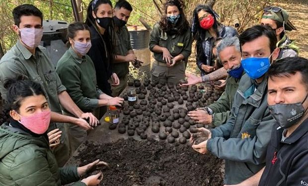 Córdoba: buscan armar 10 mil “bombas de semillas” para reforestar las sierras tras los incendios