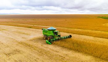 EarthDaily Agro aponta quebra da safra nos principais estados produtores de soja