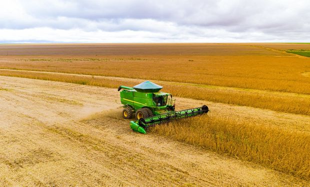 EarthDaily Agro aponta quebra da safra nos principais estados produtores de soja