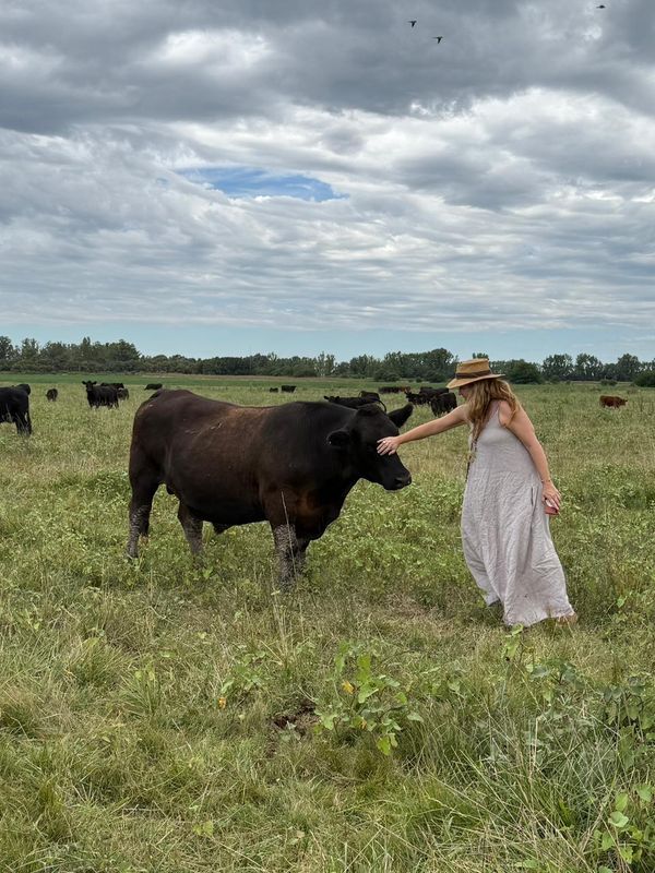 areco recorrida a campo