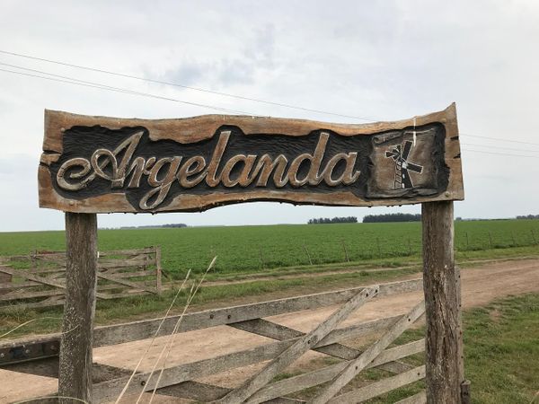 argelanda campo tres arroyos