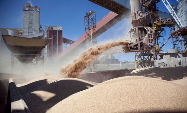 La Argentina es la primera exportadora mundial de porotos, maní, aceite y jugo de limón y aceite de soja