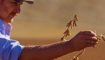 El evento solidario que abordará el "arte" del desarrollo de negocios del agro en Argentina hacia el mundo