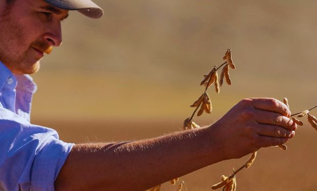 El evento solidario que abordará el "arte" del desarrollo de negocios del agro en Argentina hacia el mundo