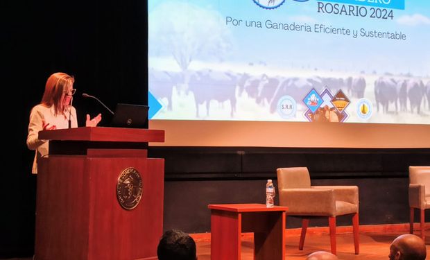 “Mucha macroeconomía, poca producción”: la Sociedad Rural de Rosario le habló al Gobierno y pidió medidas 