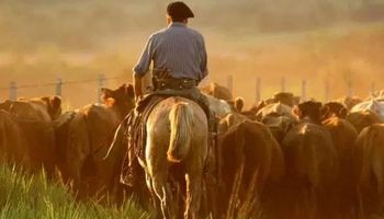 Tareas agrarias: mirá el concepto y ámbito de aplicación