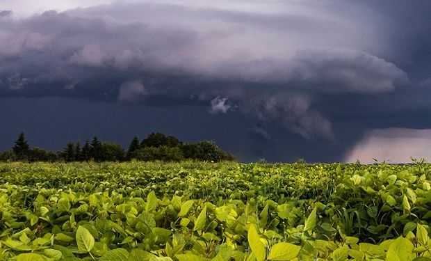 Cómo cubrir el riesgo climático: la recomendación de un experto con 33 años de experiencia en el agro