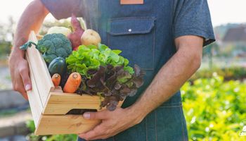 Pagamento de arrendamento rural com produtos agrícolas avança na Câmara