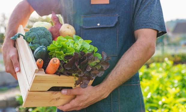 Pagamento de arrendamento rural com produtos agrícolas avança na Câmara