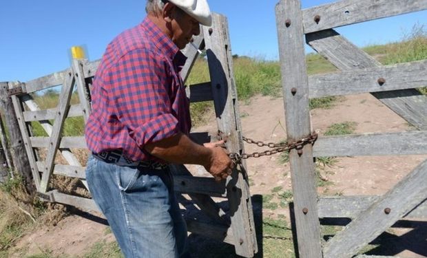 En quintales, a porcentaje, contrato mixto y siembras asociativas: cómo y a qué precio se negocian los arrendamientos agrícolas