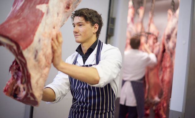 Rebanho cresce, mas produção de carne bovina cai desde 2019