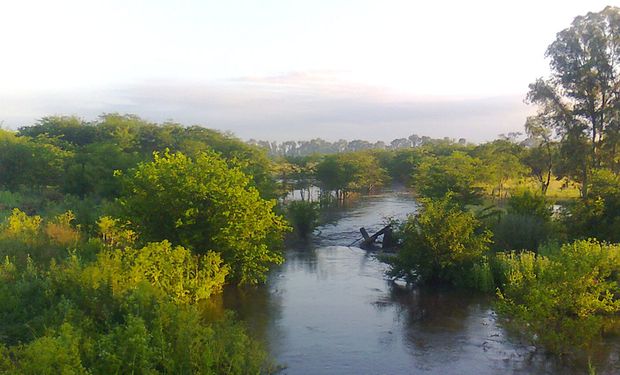 La situación en nuestro país, particularmente en la llanura pampeana, es de deterioro y de pérdida de biodiversidad.