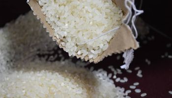 Brasil tem primeiro déficit comercial em arroz desde 2017