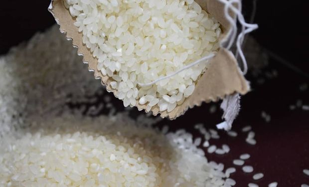 Brasil tem primeiro déficit comercial em arroz desde 2017