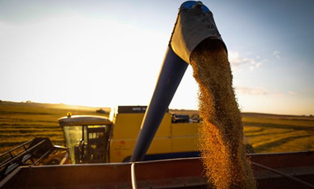 Arroz está em unidades de armazenagem do Rio Grande do Sul. (foto - Sistema CNA/Senar)