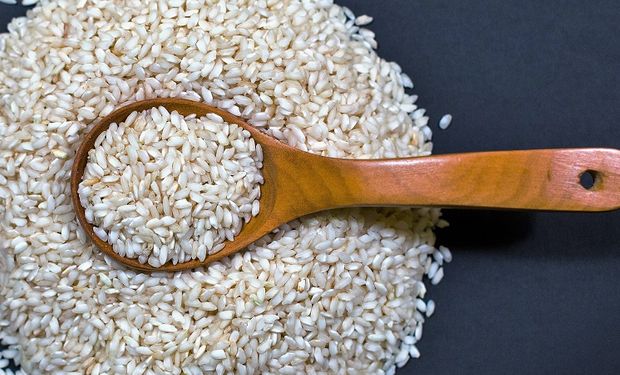 Arroz Argentino Cuales Son Las Variedades Y En Que Platos Se Pueden Servir Agrofy News