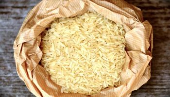 Brasil tem saldo comercial positivo de 92 mil tons de arroz na temporada 2023/24