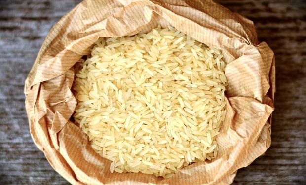 Brasil tem saldo comercial positivo de 92 mil tons de arroz na temporada 2023/24