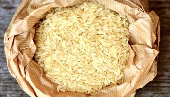 Produtor brasileiro não têm como produzir e vender quilo do arroz a R$ 4, diz Fedearroz