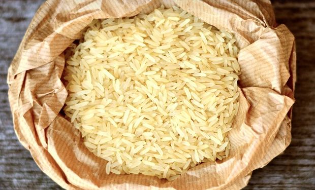 Produtor brasileiro não têm como produzir e vender quilo do arroz a R$ 4, diz Fedearroz