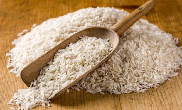 Arroz importado por governo será vendido a R$ 4 o quilo, diz Conab