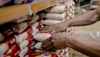Setor avalia zero imposto sobre importação de arroz como “trapalhada desastrosa”