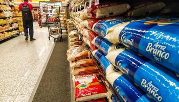 Governo contraria produtores de arroz e zera tarifa de importação  