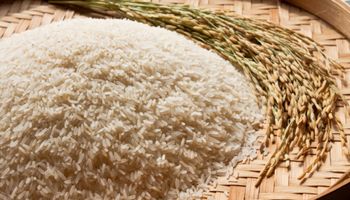 Governo autoriza importação de até 1 milhão de toneladas de arroz 