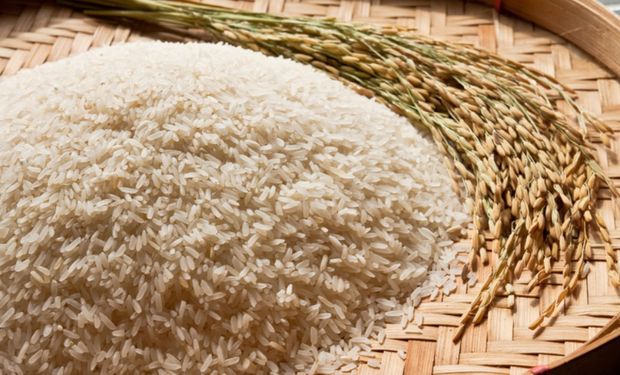 Governo autoriza importação de até 1 milhão de toneladas de arroz 