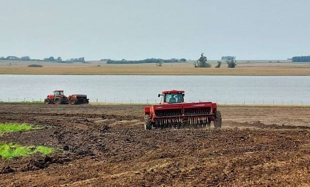 Governo anuncia crédito extraordinário bilionário para o RS; Conab fica com a maior parte dos recursos