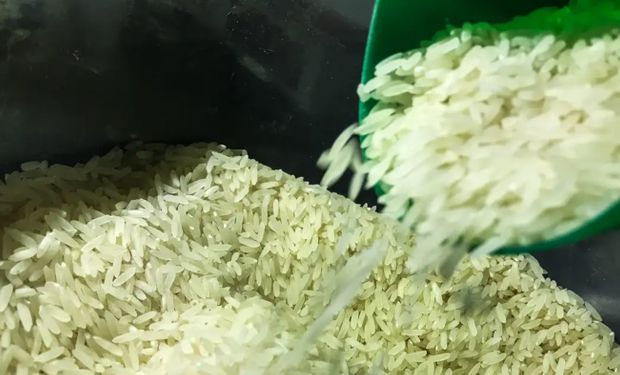 Para evitar especulação, Procon-SP passa a monitorar preços do arroz 