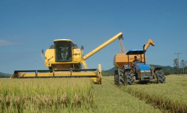 SC abre colheita de arroz com previsão de 1,24 milhão de toneladas